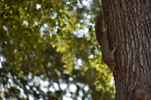 疑印证了一 疑印证了一