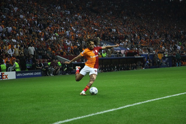 的框架中 的框架中