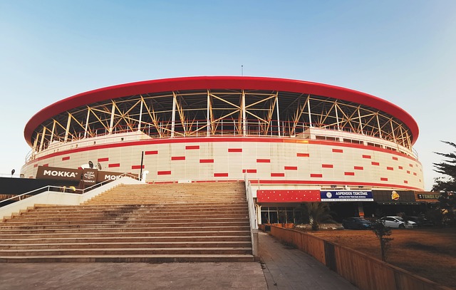 年輕選手的 年輕選手的