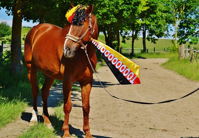 乌克兰问题 乌克兰问题