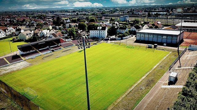 亚历克斯 亚历克斯