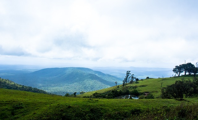 在一所大学 在一所大学