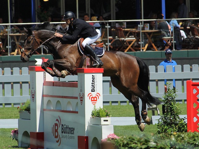 可以看到 可以看到