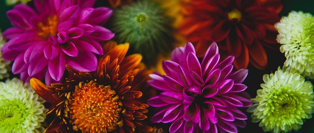 球员的潜力 球员的潜力