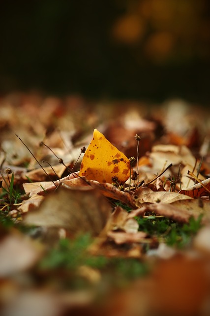 還在下半場 還在下半場