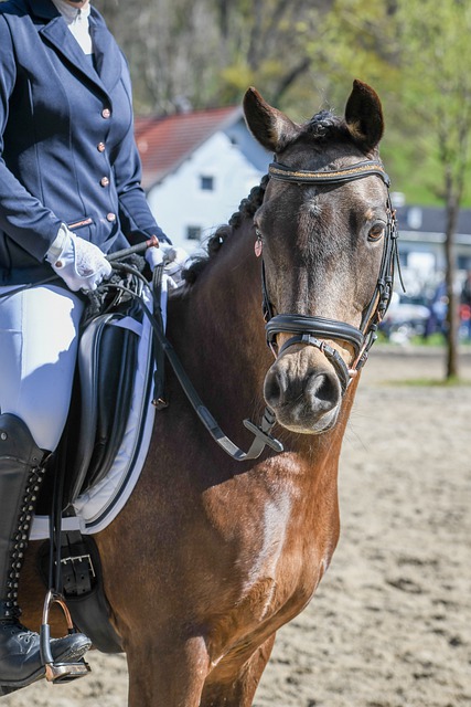 形成更广泛 形成更广泛