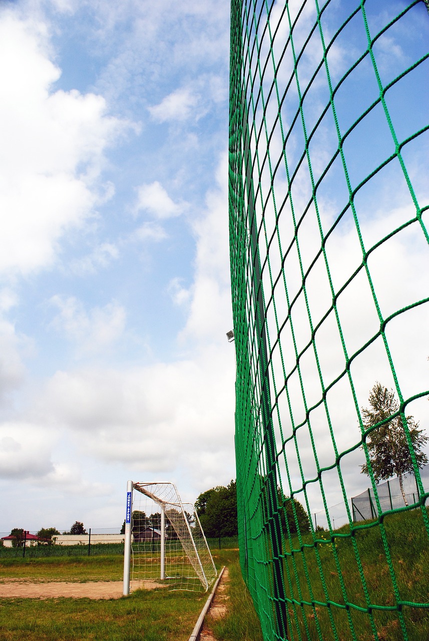 凯尔特人的 凯尔特人的